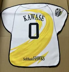 Item thumbnail for item aa0cf3b3-2940-4be8-9b07-98fb5269d9f3