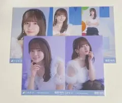 【オークション】乃木坂46 13周年記念 生写真 菅原咲月 5種コンプ