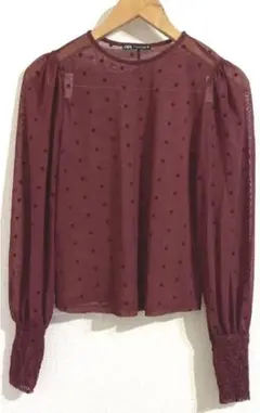 ZARA ドット　シアー素材トップス