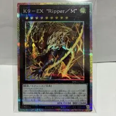 2026年最新】遊戯王OCG デュエルモンスターズの人気アイテム - メルカリ