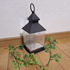 サリュ！