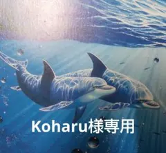 Koharu様専用　Ｔ061他