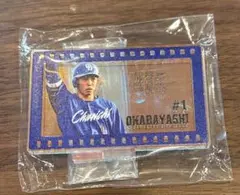 【バンテリンドーム限定ガチャ】岡林勇希　オーロラアクリルスタンド