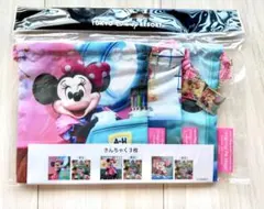 ディズニーリゾート　ミニー　巾着　イマジニングザマジック　実写