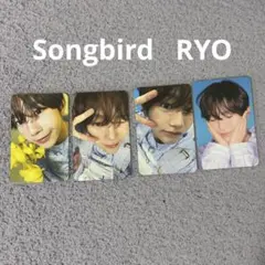 songbird 　RYO　トレカ　リョウ　セット　nct wish