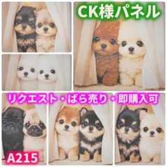 【A215】パネル生地　わんこ