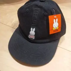 Item thumbnail for item 1ae40959-65eb-4657-b114-8d3bdf0abf70