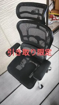 【ジャンク品　引き取り限定】エルゴヒューマン プロ ヘッドレスト付き