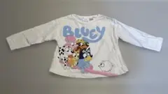 ZARA bluey