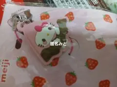 2025年最新】アポロチョコ ストラップの人気アイテム - メルカリ