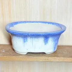 072011 鉢 植木鉢 ミニ鉢 豆鉢 - メルカリ