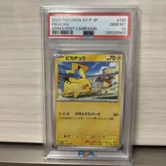 psa10ピカチュウ PROMO SV-Pプロモカード 120/SV-P