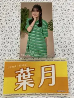 2026年最新】向井葉月の人気アイテム - メルカリ