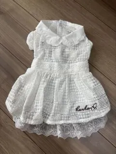 Lapin blanc（白うさぎ)