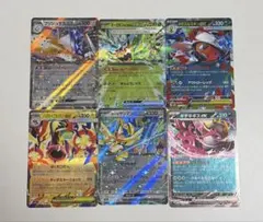 ブリジュラス/オーガポン/メガズルズキン/メガシビルドン/ザシアン/キチキギス