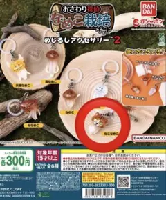 おさわり探偵　なめこ栽培キット　めじるしアクセサリー 2