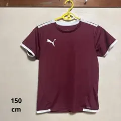 子供服 150cm PUMA プーマ Tシャツ
