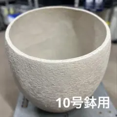 2025年最新】エコストーン 鉢の人気アイテム - メルカリ