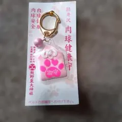 Item thumbnail for item 4188a85c-e0e7-4559-9549-649564c6d715