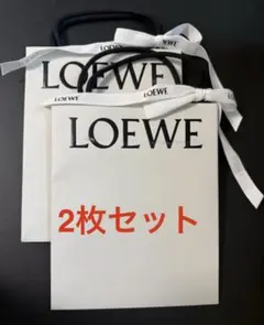 LOEWE ショップ袋 ショッパー 2枚セット ロエベ