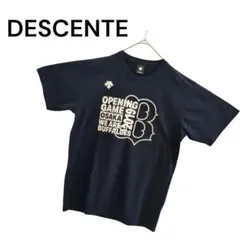 DESCENTE メンズ Tシャツ・カットソー 半袖Tシャツ ナチュラル 春夏