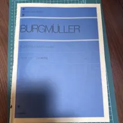 Item thumbnail for item 2678716f-f4a3-4dd6-aae9-f139b3f6e36e