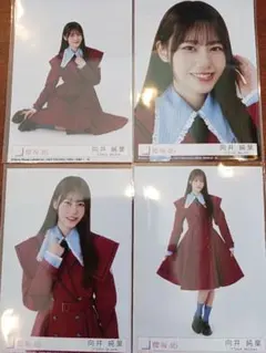櫻坂46 愛MUST BE初回盤封入 生写真 ABCD4種4枚セット 向井純葉