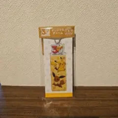 ポケモン 30周年 オリジナルチャー ピカチュウ＆イーブイ