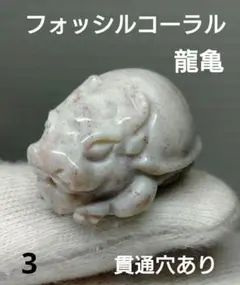 2026年最新】亀 化石の人気アイテム - メルカリ