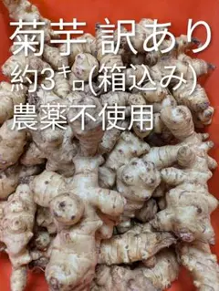 菊芋 訳あり 約3㌔ 農薬不使用