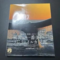 Item thumbnail for item 64f7a6be-b499-45f3-bfec-58a5163d6e1e