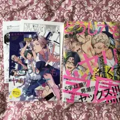 どうしてもヤリたくて学園　星名あんじ　コミコミスタジオリーフレット　他ペーパー付