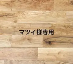 マツイ様専用　向かい獅子、文字、銀、1枚
