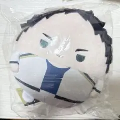 ハイキュー 赤葦京治 ふわコロりんmサイズ