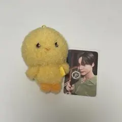 2025年最新】テミン ぬいぐるみの人気アイテム - メルカリ