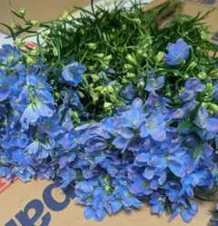 A☺︎様 リクエスト 2点 まとめ商品