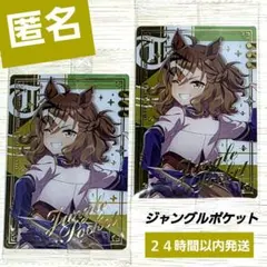 【即日】ウマ娘　ツインウエハース　Special R　ジャングルポケット　２枚