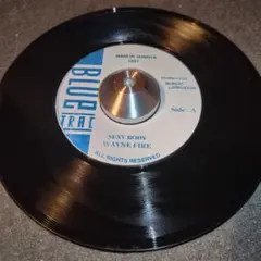 WAYNE FIRE Supwr Catレゲエ レコードReggae WAYNE FIRE Super Catレゲエ レコードReggae - メルカリ