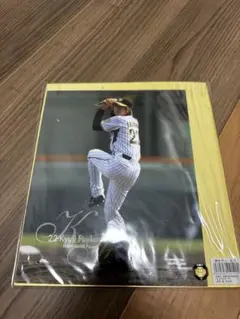 Item thumbnail for item 48e4404d-08cb-40ab-909f-3e9d0404657c