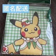 ポケパーク　巾着　バラ売り　ピカチュウ