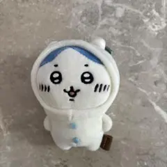 2025年最新】ハチワレにかぶられたナガノのくまの人気アイテム - メルカリ