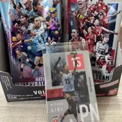 宮部愛莉 バレーボール女子日本代表 メタリックプラカード