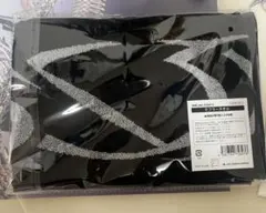 新品未開封　2025 aespa LIVE TOUR マフラータオル