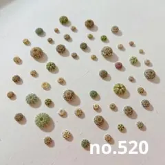 ぷちぷち様 リクエスト 2点 まとめ商品