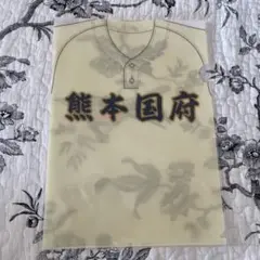 熊本国府高校　野球部　クリアファイル