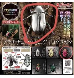 いきもの大図鑑アドバンス プラチナコガネとニジイロクワガタ