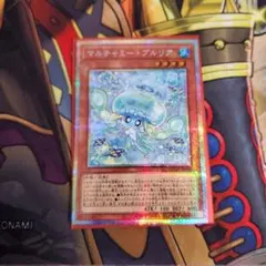 マルチャミープルリア　プリシク