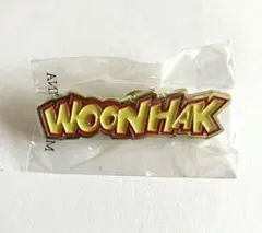 WOONHAK BOYNEXTDOOR ウナク ピンバッジ ガチャ