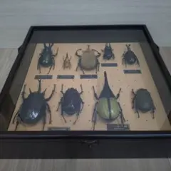日本遺物模型 縄文 弥生時代 土偶 石器 71点 学校教材 109×79cm 日本遺物模型 縄文 弥生時代 土偶 石器 71点 学校教材 109×79cm - メルカリ