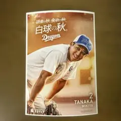 中日ドラゴンズ 竜ブロマイド　田中幹也
